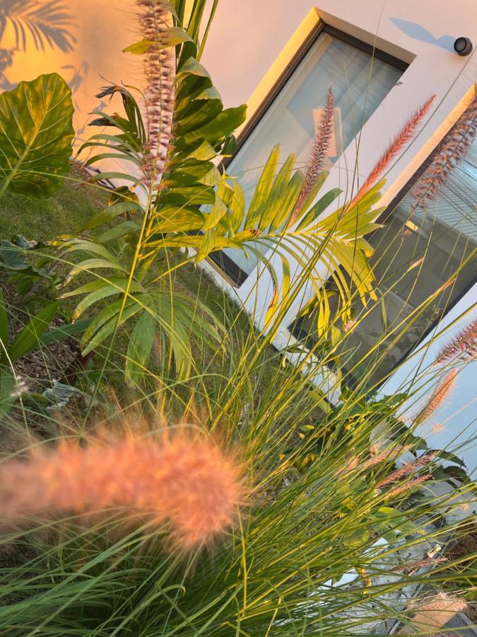 L'Empreinte-Oasis De Serenite Au Coeur D'Un Jardin Tropical Le Tampon Exteriér fotografie